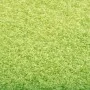 Felpudo lavable verde 60x90 cm de vidaXL, Felpudos - Ref: Foro24-323428, Precio: 35,76 €, Descuento: %