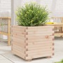 Jardinera madera maciza de pino 50x50x49,5 cm de , Maceteros y jardineras - Ref: Foro24-3282514, Precio: 113,26 €, Descuento: %