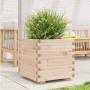 Jardinera madera maciza de pino 50x50x49,5 cm de , Maceteros y jardineras - Ref: Foro24-3282514, Precio: 113,26 €, Descuento: %