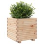 Jardinera madera maciza de pino 50x50x49,5 cm de , Maceteros y jardineras - Ref: Foro24-3282514, Precio: 113,26 €, Descuento: %
