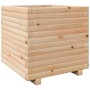 Jardinera madera maciza de pino 50x50x49,5 cm de , Maceteros y jardineras - Ref: Foro24-3282514, Precio: 113,26 €, Descuento: %