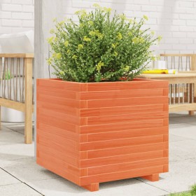 Jardinera madera maciza de pino marrón cera 50x50x49,5 cm de , Maceteros y jardineras - Ref: Foro24-3282516, Precio: 134,92 €...