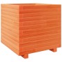 Jardinera madera maciza de pino marrón cera 50x50x49,5 cm de , Maceteros y jardineras - Ref: Foro24-3282516, Precio: 134,92 €...