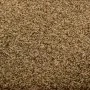 Felpudo lavable marrón 60x90 cm de vidaXL, Felpudos - Ref: Foro24-323434, Precio: 33,07 €, Descuento: %