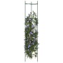 Tutor para tomates 2 unidades acero y PP 154 cm de , Soportes para macetas - Ref: Foro24-4009285, Precio: 33,01 €, Descuento: %