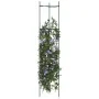 Tutor para tomates 2 unidades acero y PP 154 cm de , Soportes para macetas - Ref: Foro24-4009285, Precio: 32,21 €, Descuento: %