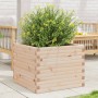 Jardinera de madera maciza de pino 60x60x46 cm de , Maceteros y jardineras - Ref: Foro24-3282409, Precio: 119,33 €, Descuento: %