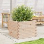 Jardinera de madera maciza de pino 60x60x46 cm de , Maceteros y jardineras - Ref: Foro24-3282409, Precio: 119,33 €, Descuento: %
