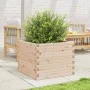 Jardinera de madera maciza de pino 60x60x46 cm de , Maceteros y jardineras - Ref: Foro24-3282409, Precio: 117,81 €, Descuento: %
