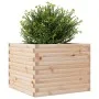 Jardinera de madera maciza de pino 60x60x46 cm de , Maceteros y jardineras - Ref: Foro24-3282409, Precio: 117,81 €, Descuento: %