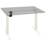 Estructura de escritorio motorizada altura ajustable blanca de vidaXL, Cubículos y mesas de trabajo - Ref: Foro24-321714, Pre...