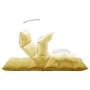 Folding mustard yellow fabric floor lounger by , Floor chairs - Ref: Foro24-325242, Price: 115,23 €, Discount: %