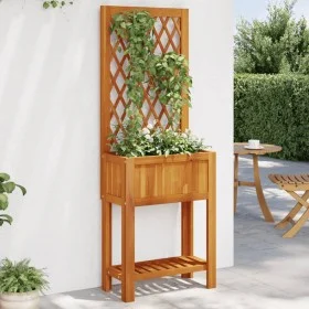 Jardinera con enrejado y estante acacia maciza 55x29,5x152 cm de , Maceteros y jardineras - Ref: Foro24-364898, Precio: 75,00...