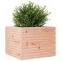 Jardinera de madera maciza Douglas 60x60x46 cm de , Maceteros y jardineras - Ref: Foro24-3282412, Precio: 124,33 €, Descuento: %
