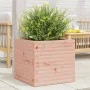Jardinera de madera maciza Douglas 50x50x46 cm de , Maceteros y jardineras - Ref: Foro24-3282407, Precio: 105,97 €, Descuento: %