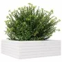 Jardinera de madera maciza de pino blanca 70x70x23 cm de , Maceteros y jardineras - Ref: Foro24-847194, Precio: 68,82 €, Desc...