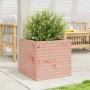 Jardinera madera maciza de abeto Douglas 50x50x45,5 cm de , Maceteros y jardineras - Ref: Foro24-847246, Precio: 83,44 €, Des...
