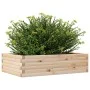 Jardinera de madera maciza de pino 90x60x23 cm de , Maceteros y jardineras - Ref: Foro24-847233, Precio: 62,40 €, Descuento: %