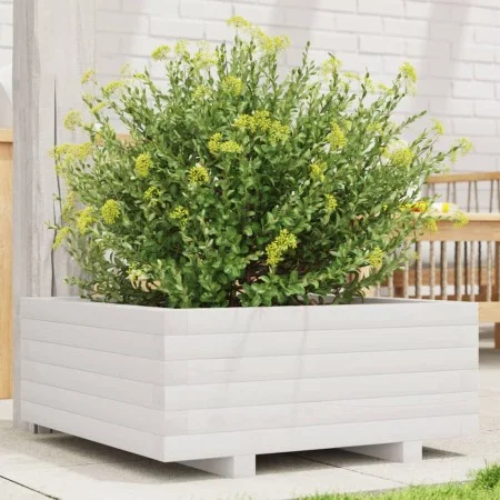 Jardinera de madera maciza de pino blanco 60x60x26,5 cm de , Maceteros y jardineras - Ref: Foro24-847299, Precio: 74,37 €, De...
