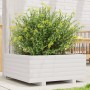 Jardinera de madera maciza de pino blanco 60x60x26,5 cm de , Maceteros y jardineras - Ref: Foro24-847299, Precio: 75,30 €, De...
