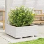 Jardinera de madera maciza de pino blanco 60x60x26,5 cm de , Maceteros y jardineras - Ref: Foro24-847299, Precio: 74,37 €, De...