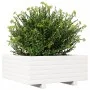 Jardinera de madera maciza de pino blanco 60x60x26,5 cm de , Maceteros y jardineras - Ref: Foro24-847299, Precio: 74,37 €, De...