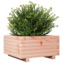 Jardinera de madera maciza Douglas 50x50x26,5 cm de , Maceteros y jardineras - Ref: Foro24-847296, Precio: 57,08 €, Descuento: %