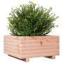 Jardinera de madera maciza Douglas 50x50x26,5 cm de , Maceteros y jardineras - Ref: Foro24-847296, Precio: 56,48 €, Descuento: %