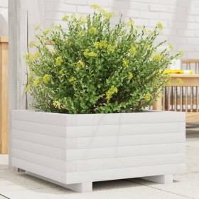 Jardinera de madera maciza de pino blanco 50x50x26,5 cm de , Maceteros y jardineras - Ref: Foro24-847294, Precio: 64,19 €, De...