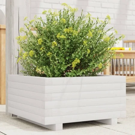 Jardinera de madera maciza de pino blanco 50x50x26,5 cm de , Maceteros y jardineras - Ref: Foro24-847294, Precio: 63,53 €, De...