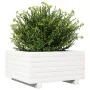 Jardinera de madera maciza de pino blanco 50x50x26,5 cm de , Maceteros y jardineras - Ref: Foro24-847294, Precio: 63,53 €, De...
