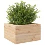 Jardinera de madera maciza de pino 40x40x23 cm de , Maceteros y jardineras - Ref: Foro24-847178, Precio: 37,79 €, Descuento: %
