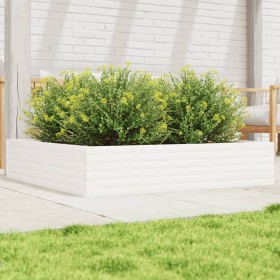Jardinera de madera maciza de pino blanca 110x110x23 cm de , Maceteros y jardineras - Ref: Foro24-847214, Precio: 103,66 €, D...