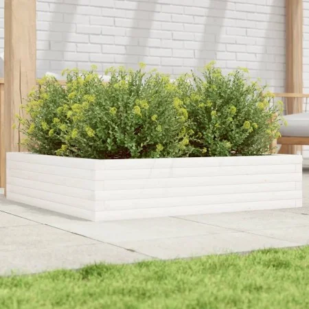 Jardinera madera maciza de pino blanco 100x100x23 cm de , Maceteros y jardineras - Ref: Foro24-847209, Precio: 94,77 €, Descu...
