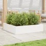 Jardinera madera maciza de pino blanco 100x100x23 cm de , Maceteros y jardineras - Ref: Foro24-847209, Precio: 94,77 €, Descu...
