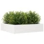 Jardinera madera maciza de pino blanco 100x100x23 cm de , Maceteros y jardineras - Ref: Foro24-847209, Precio: 94,77 €, Descu...