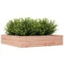 Jardinera madera maciza de abeto Douglas 110x110x23 cm de , Maceteros y jardineras - Ref: Foro24-847216, Precio: 91,15 €, Des...