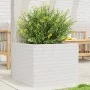 Jardinera de madera maciza de pino blanco 60x60x45,5 cm de , Maceteros y jardineras - Ref: Foro24-847249, Precio: 110,87 €, D...