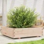 Jardinera de madera maciza de pino 90x90x26,5 cm de , Maceteros y jardineras - Ref: Foro24-847313, Precio: 96,03 €, Descuento: %