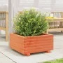 Solid pine wood planter in brown wax 50x50x26.5 cm by , Pots and planters - Ref: Foro24-847295, Price: 63,53 €, Discount: %