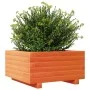Solid pine wood planter in brown wax 50x50x26.5 cm by , Pots and planters - Ref: Foro24-847295, Price: 63,53 €, Discount: %