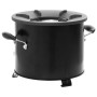 Cocina de leña para camping metal negro 36x26x22,5 cm de , Chimeneas - Ref: Foro24-319439, Precio: 85,21 €, Descuento: %