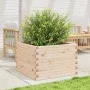 Jardinera de madera maciza de pino 70x70x46 cm de , Maceteros y jardineras - Ref: Foro24-3282414, Precio: 139,07 €, Descuento: %