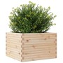 Jardinera de madera maciza de pino 70x70x46 cm de , Maceteros y jardineras - Ref: Foro24-3282414, Precio: 141,45 €, Descuento: %