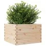 Jardinera de madera maciza de pino 70x70x46 cm de , Maceteros y jardineras - Ref: Foro24-3282414, Precio: 139,07 €, Descuento: %