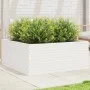 Jardinera madera maciza de pino blanco 110x110x46 cm de , Maceteros y jardineras - Ref: Foro24-3282435, Precio: 244,11 €, Des...