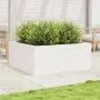Jardinera madera maciza de pino blanco 110x110x46 cm de , Maceteros y jardineras - Ref: Foro24-3282435, Precio: 244,11 €, Des...
