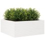 Jardinera madera maciza de pino blanco 110x110x46 cm de , Maceteros y jardineras - Ref: Foro24-3282435, Precio: 247,25 €, Des...