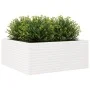 Jardinera madera maciza de pino blanco 110x110x46 cm de , Maceteros y jardineras - Ref: Foro24-3282435, Precio: 244,11 €, Des...