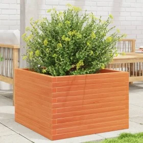 Jardinera de madera maciza de pino marrón cera 70x70x46 cm de , Maceteros y jardineras - Ref: Foro24-3282416, Precio: 161,67 ...